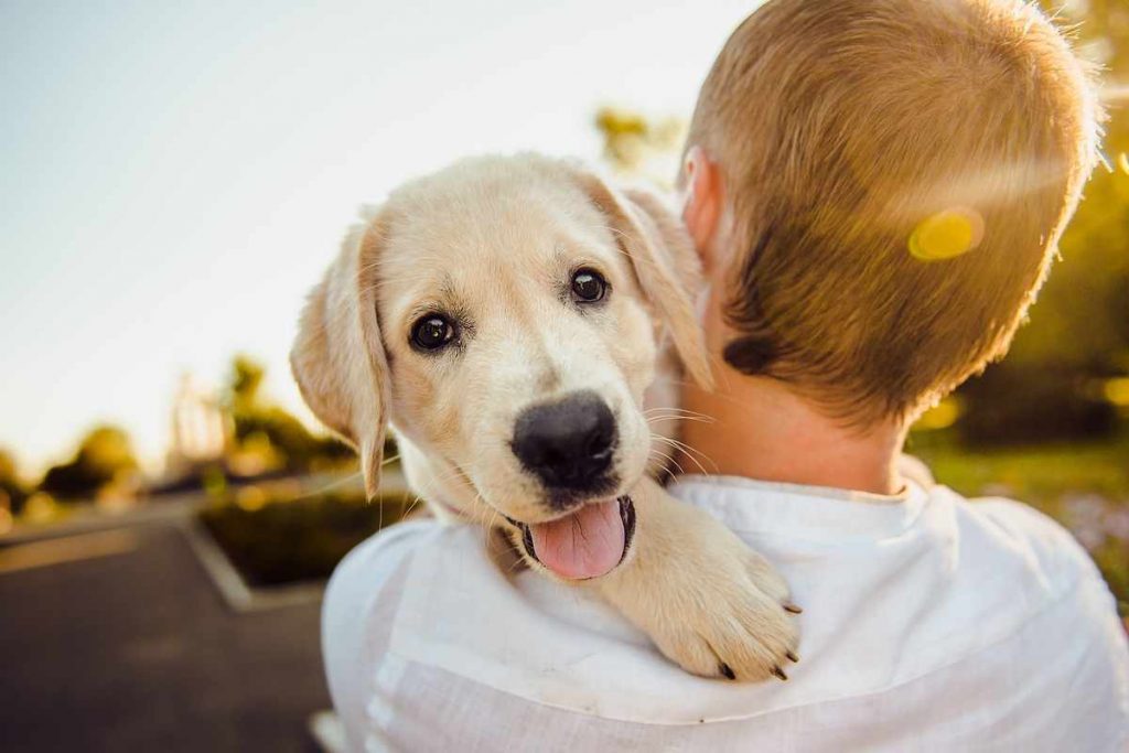 Cane e padrone