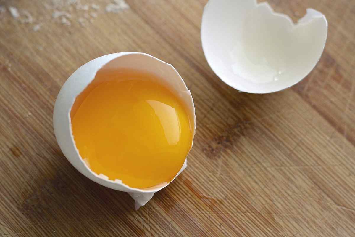 Tuorlo uovo